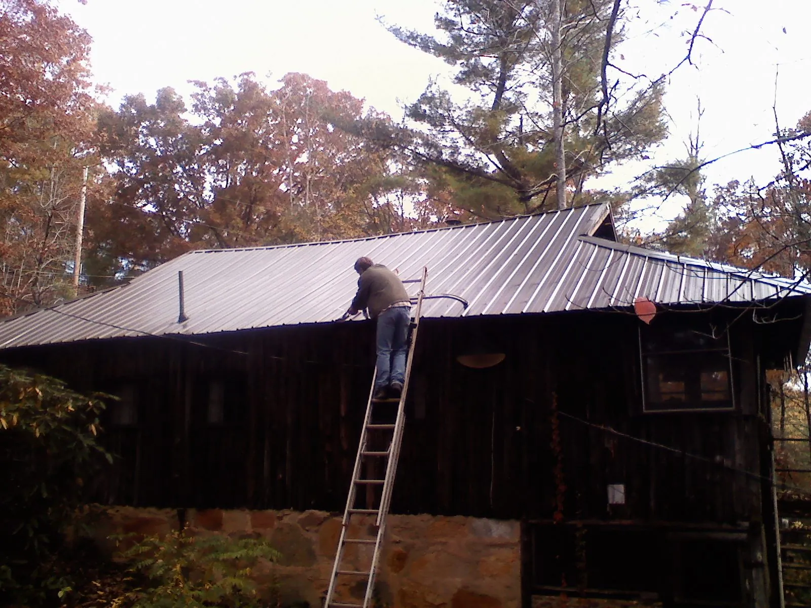 Roofer on a ladder working along the edge of a cabin metal roof in Sarasota
