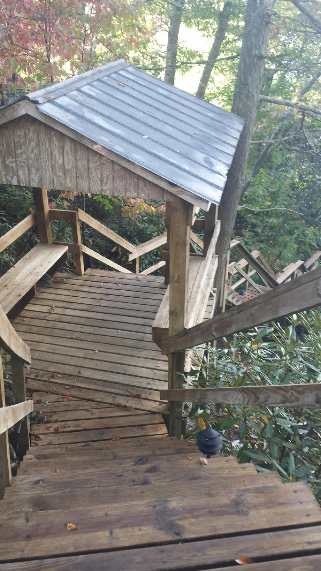 Metal roofed shelter over wooden steps on a wooded walkway — Skylight Repair & Installation work by our crew in Sarasota