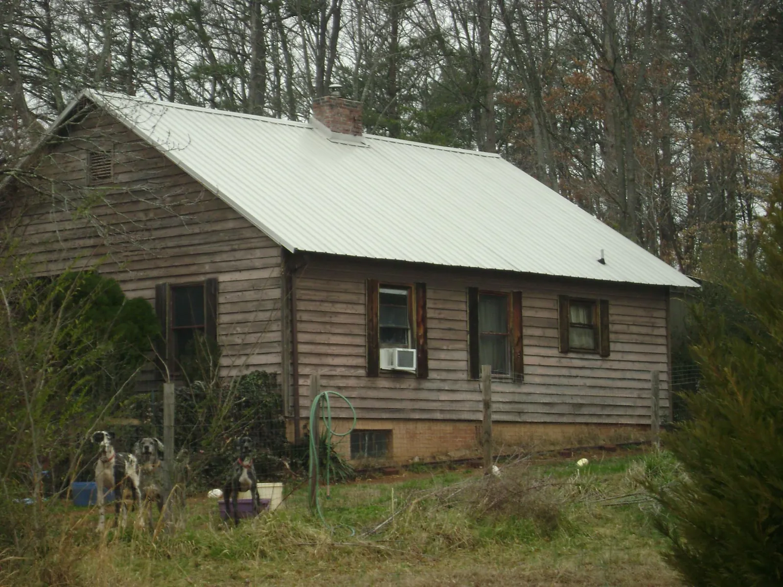White metal roof on an old wood sided farmhouse, from a Metal Roof Installation job in Sarasota
